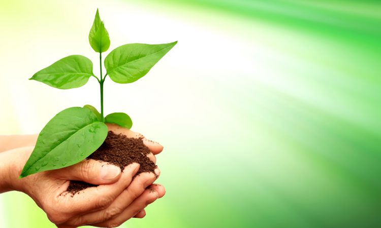 Escolha seus produtos de limpeza, mas não se esqueça do meio ambiente